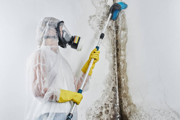 Best Mold Testing  in Kekoskee, WI