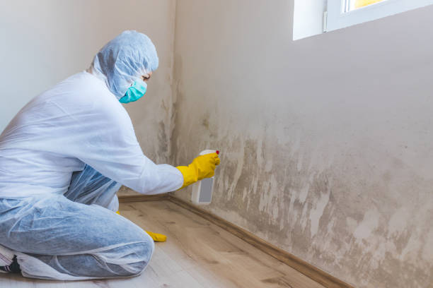Crawl Space Mold Removal in Kekoskee, WI