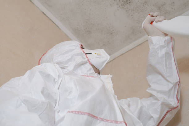 Best Toxic Mold Removal  in Kekoskee, WI