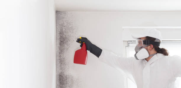 Best Crawl Space Mold Removal  in Kekoskee, WI